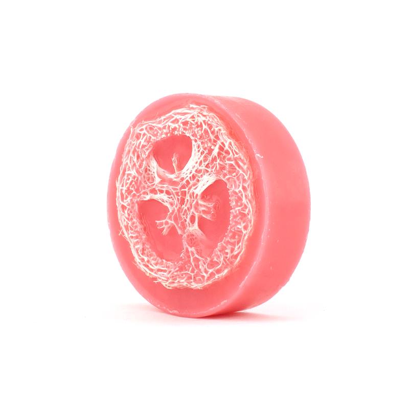 Loofah Soap - Witches Brew