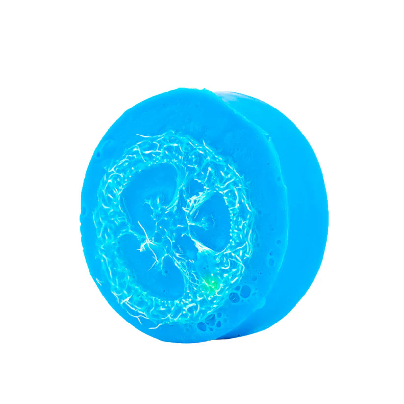 Loofah Soap - Pumpkin Pie